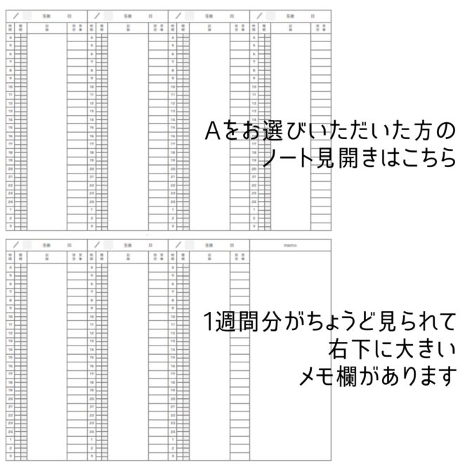 育児記録　双子　横書き