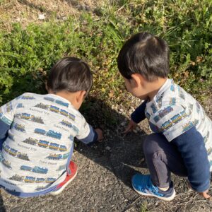 双子　2歳　散歩