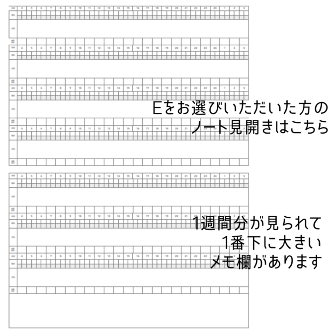 育児記録　双子　横書き