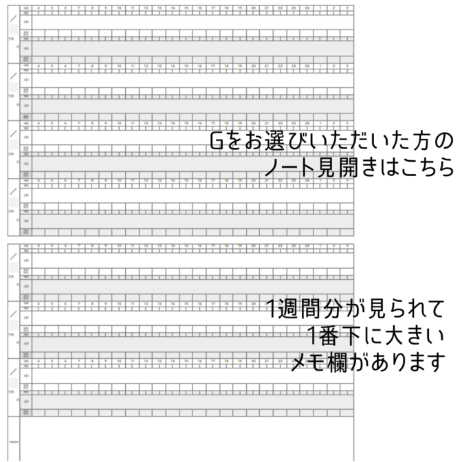 育児記録　双子　横書き