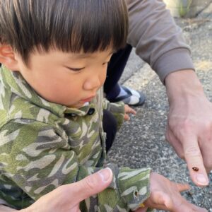 双子　散歩　外出　2歳