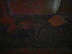 双子 ネントレ 2歳 睡眠