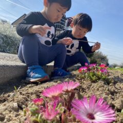 ネントレママ安心‼︎ネントレ中にも外でお昼寝する方法〜テント編〜