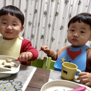 双子のイヤイヤ期予備軍、簡単な対応はこれに限る