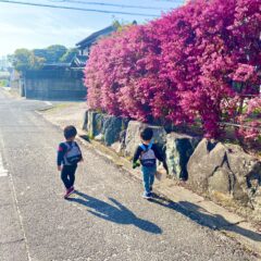 双子ママだから言える！多胎支援サポートの必要性