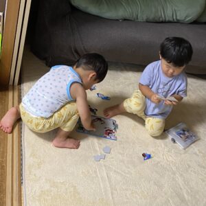２歳　双子　パズル　協調性