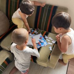 2歳4ヶ月の双子男児がハマるおもちゃを追求してみた！