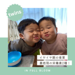 頑張らない食育！最低限の栄養素２種