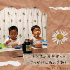 2歳８ヶ月の双子が箸を使い始めました