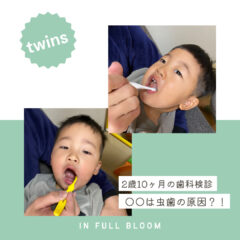 2歳10か月の歯科検診、あれが虫歯の原因に？！