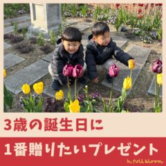 3歳の誕生日に一番贈りたいプレゼント