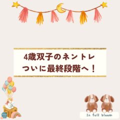 【4歳のお昼寝事情】双子男児のリアルなネントレスケジュールと昼寝移行のコツを紹介！